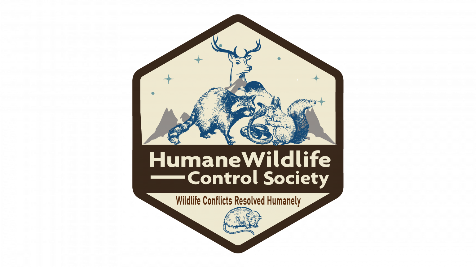 Wildlife Removal New Hampshire Fast and Effective Wildlife Removal