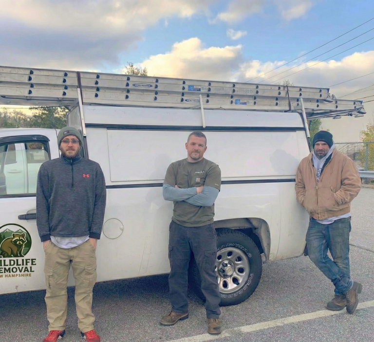 wildlife-memphis-team