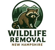 Wildlife Removal New Hampshire NB